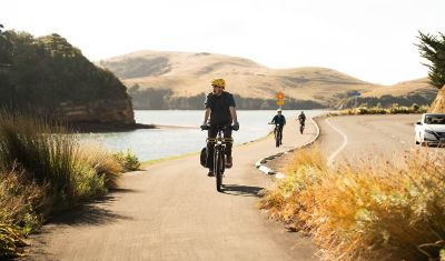 Bespoke Tours Dunedin