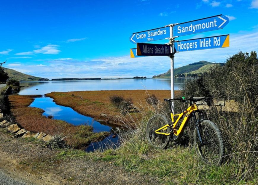 cycle the otago peninsula in Dunedin